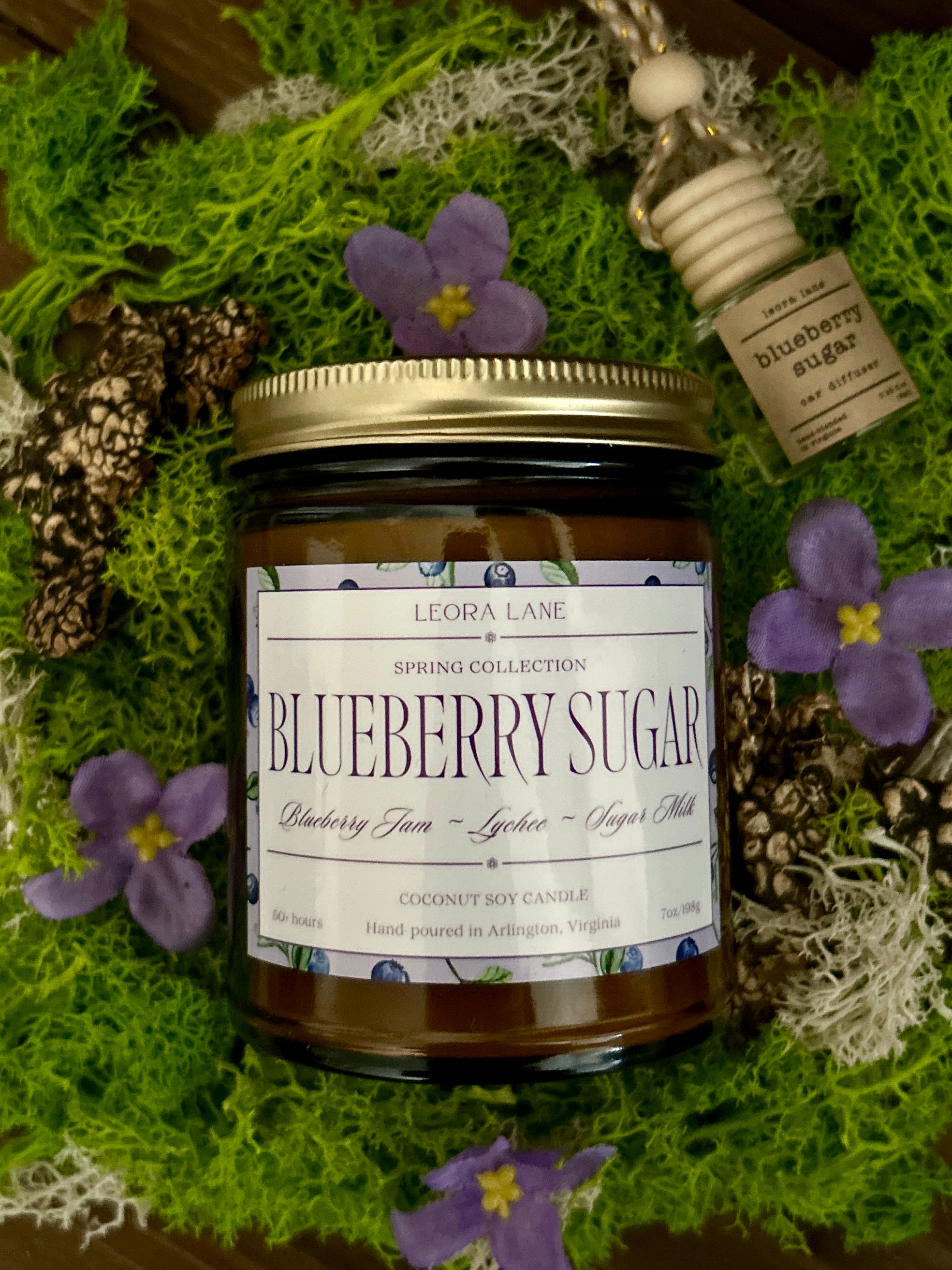 【blueberry】H.I.P by SOLIDO × LEADER Blueberry Sugar 7 oz. Candle – Leora Lane