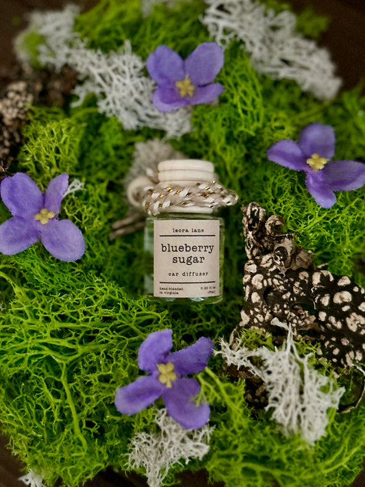 Blueberry Sugar Car Diffuser