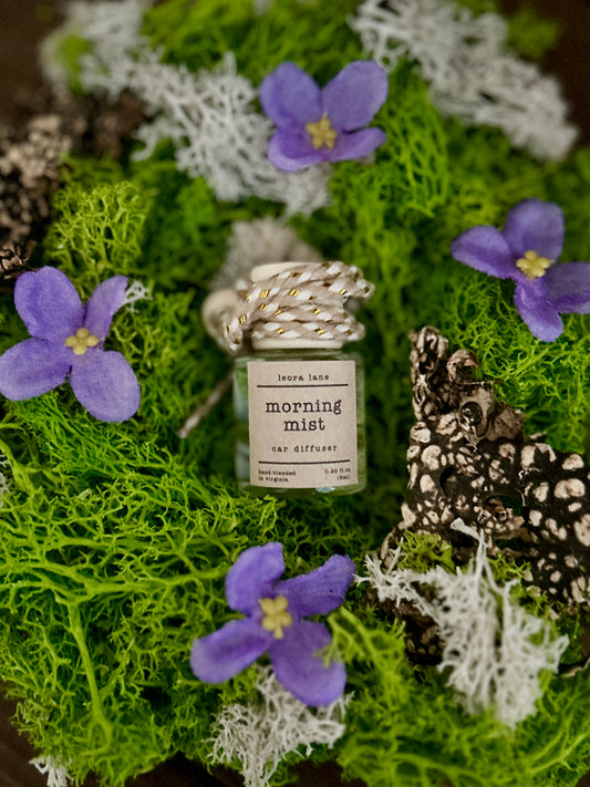 Morning Mist Car Diffuser